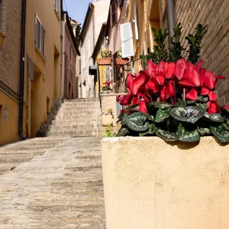 La Casetta - Casa Indipendente Nel Centro Storico *